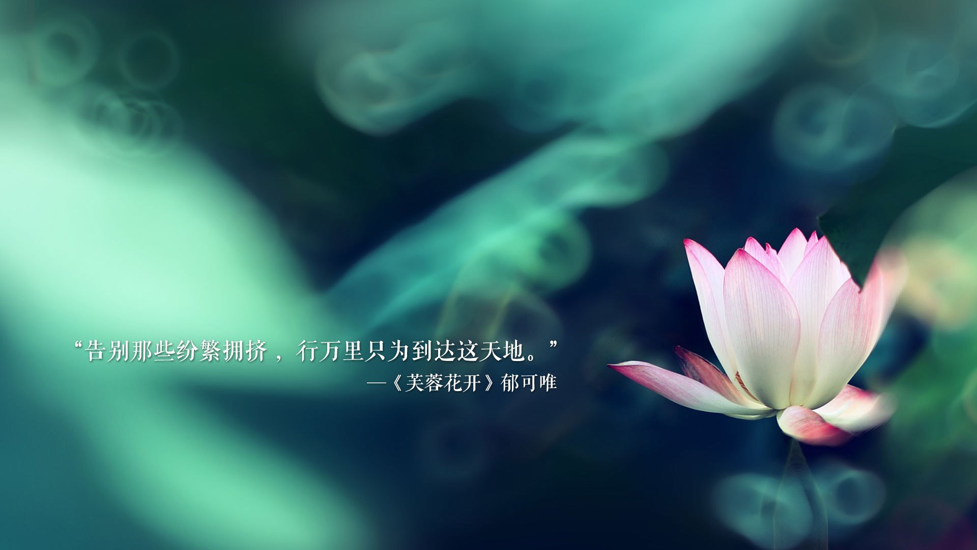 JIUYOU GAMING-“西甲欧战附加赛：豪门拼尽全力争突破”，西甲参加欧联杯的球队