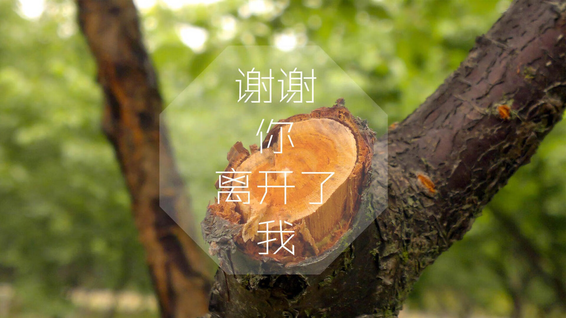 九游娱乐官网 (JIUYOU)-利兹联关键时刻破门，扭转不利局面，利兹联吧百度贴吧