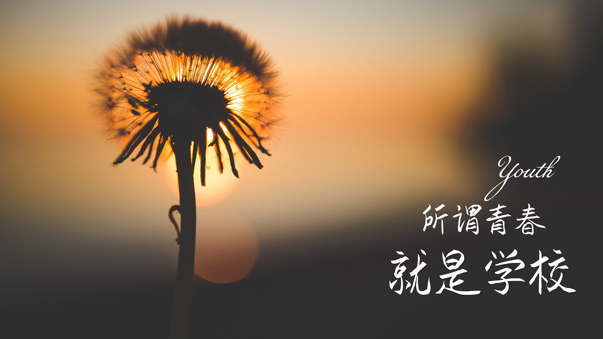 九游app下载中心-比赛中球队在绝境中挣扎，终于获得胜利，这场足球赛的胜败取决于队员们的齐心协力