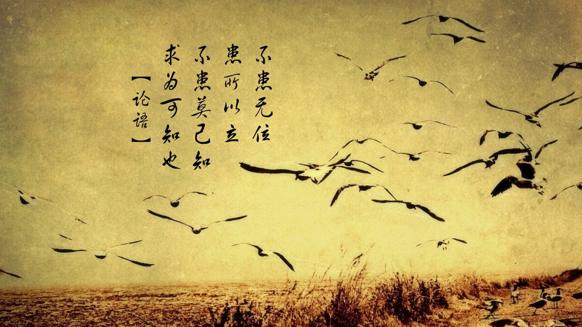 校园体育场馆智能管理应用，校园体育场馆智能管理应用有哪些