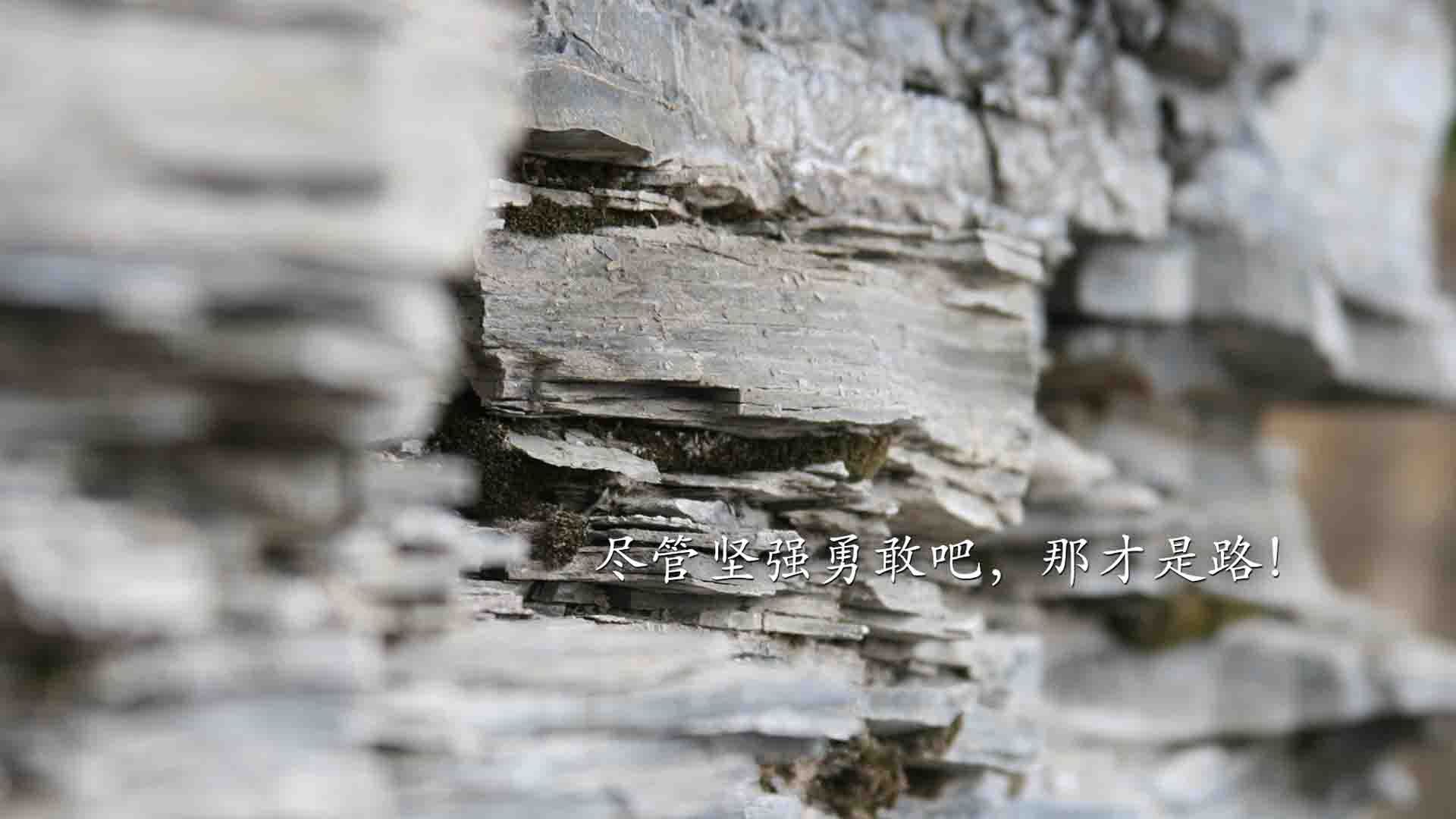 弗拉门戈高位围抢带动两球领先，弗拉门戈技巧