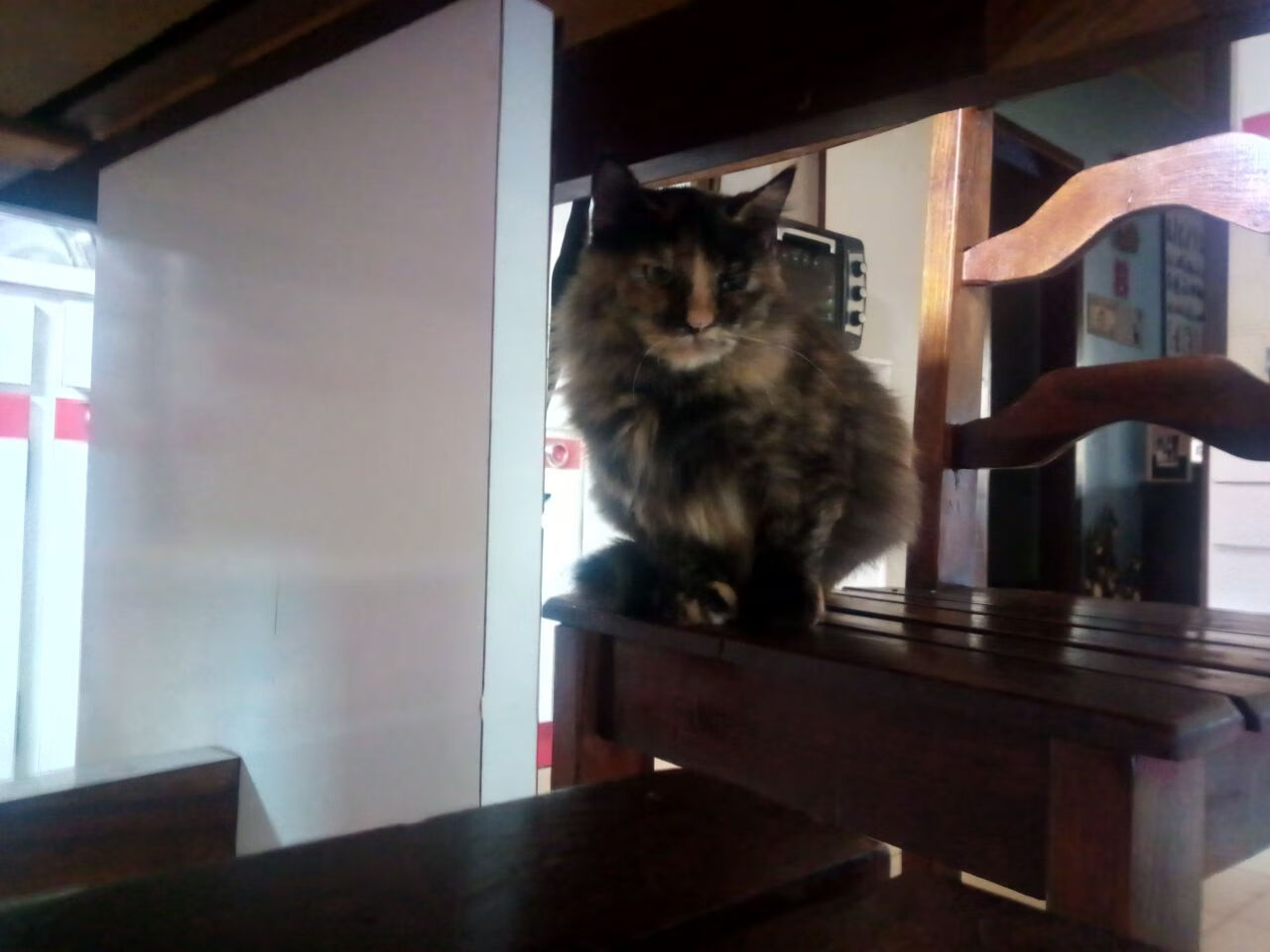 多哥男篮在非洲锦标赛中低调发力，追逐历史最佳成绩，非洲多哥现状