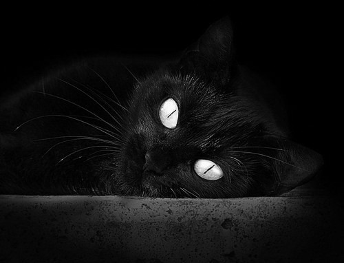 西甲决战时刻:明星日韩显神威!,西甲经典比赛