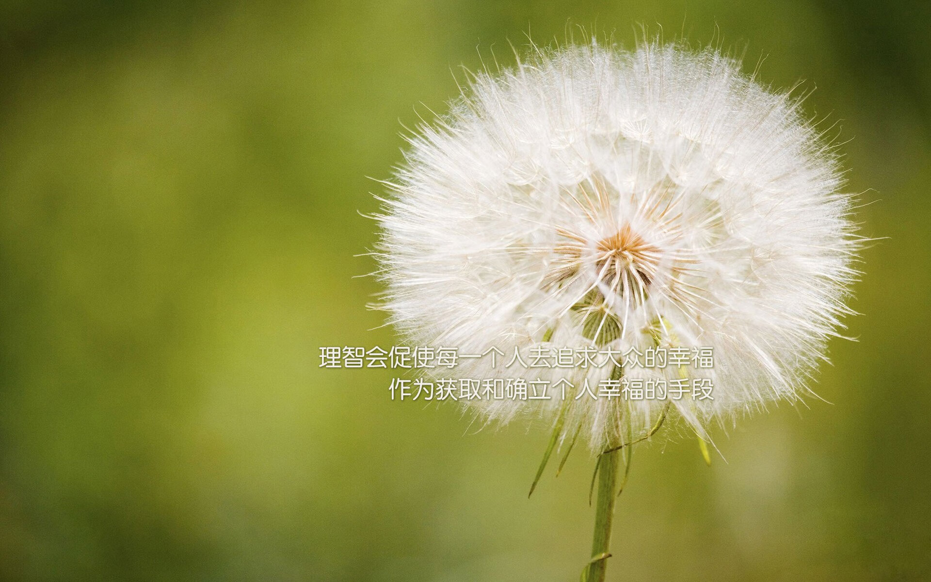 西甲精彩盘点:极致技巧与智慧的碰撞,西甲技术